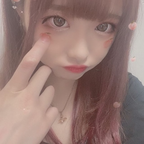 マドンナのサクラ「ひな」